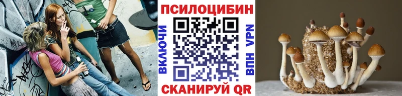 Галлюциногенные грибы MAGIC MUSHROOMS Аркадак